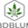 CBD-Blume